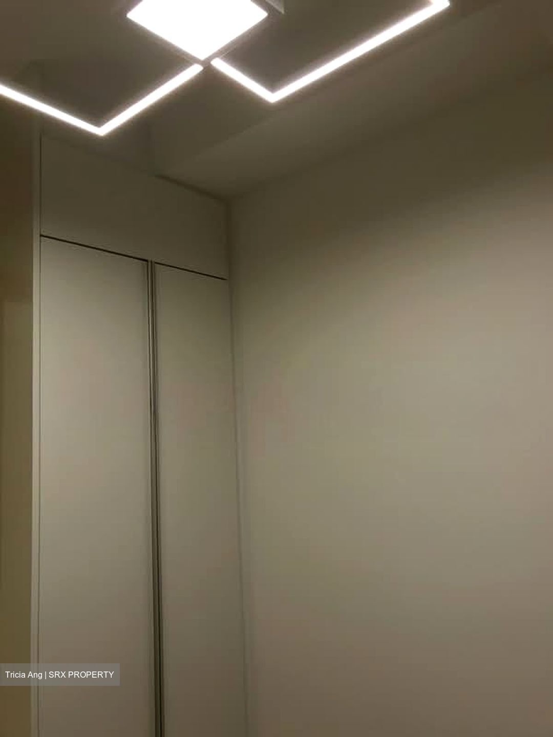 RV Residences (D10), Condominium #577218831